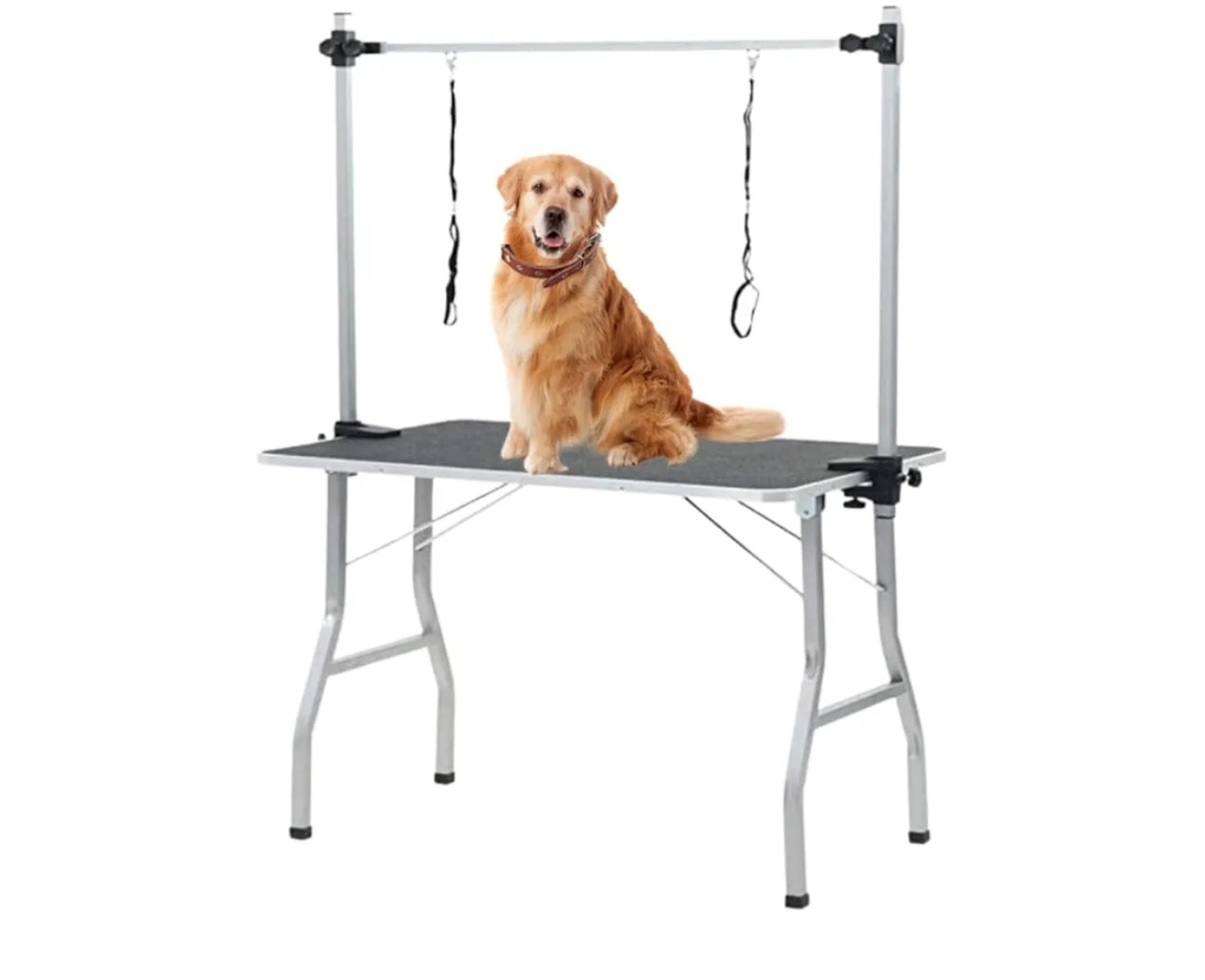 Read more about the article AVOID Folding Trimming Table for Dogs
